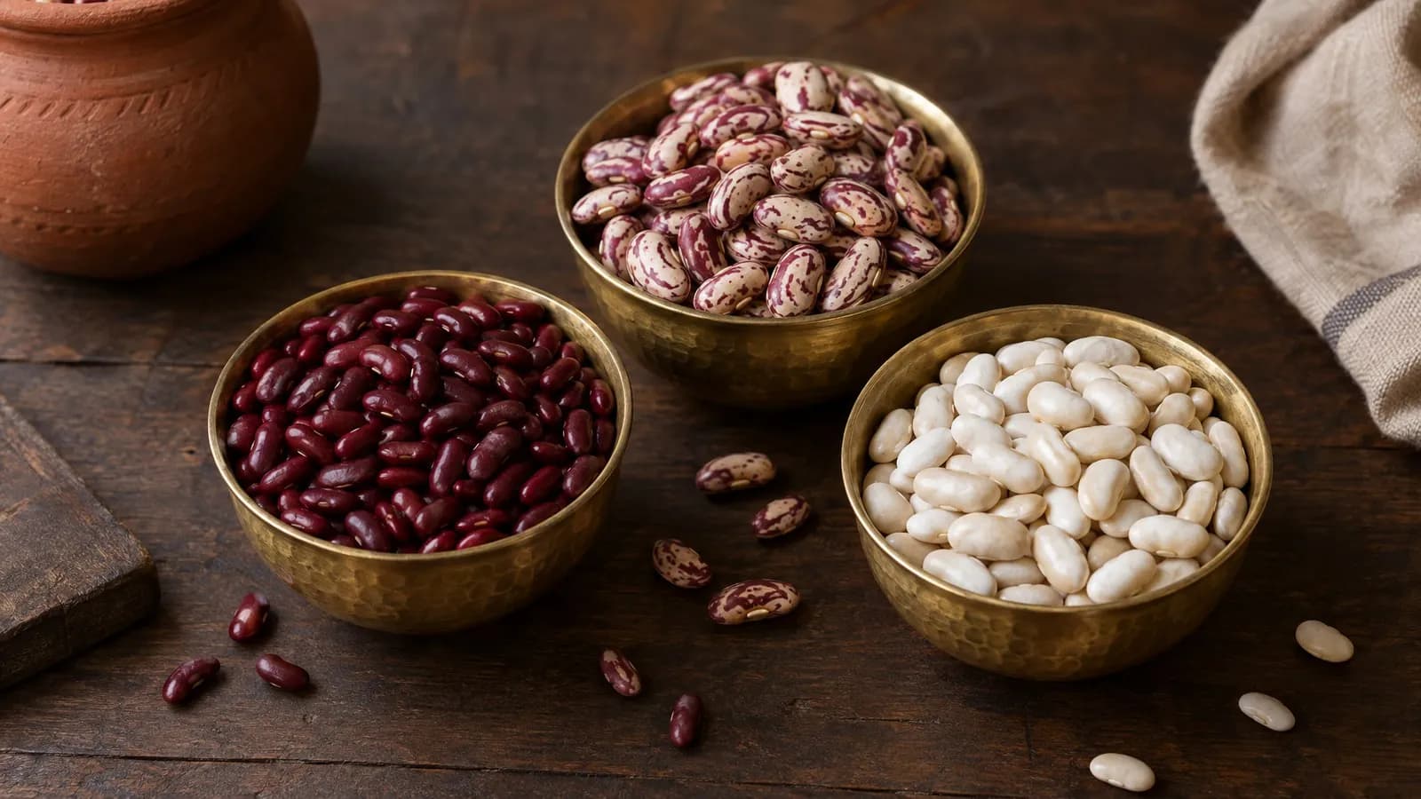 Rajma in English (kidney beans), types of rajma and which is best