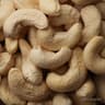 Cashew