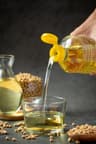 Oil