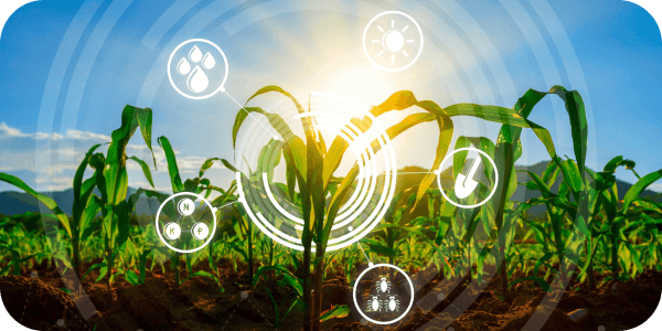 Regenerative Agriculture