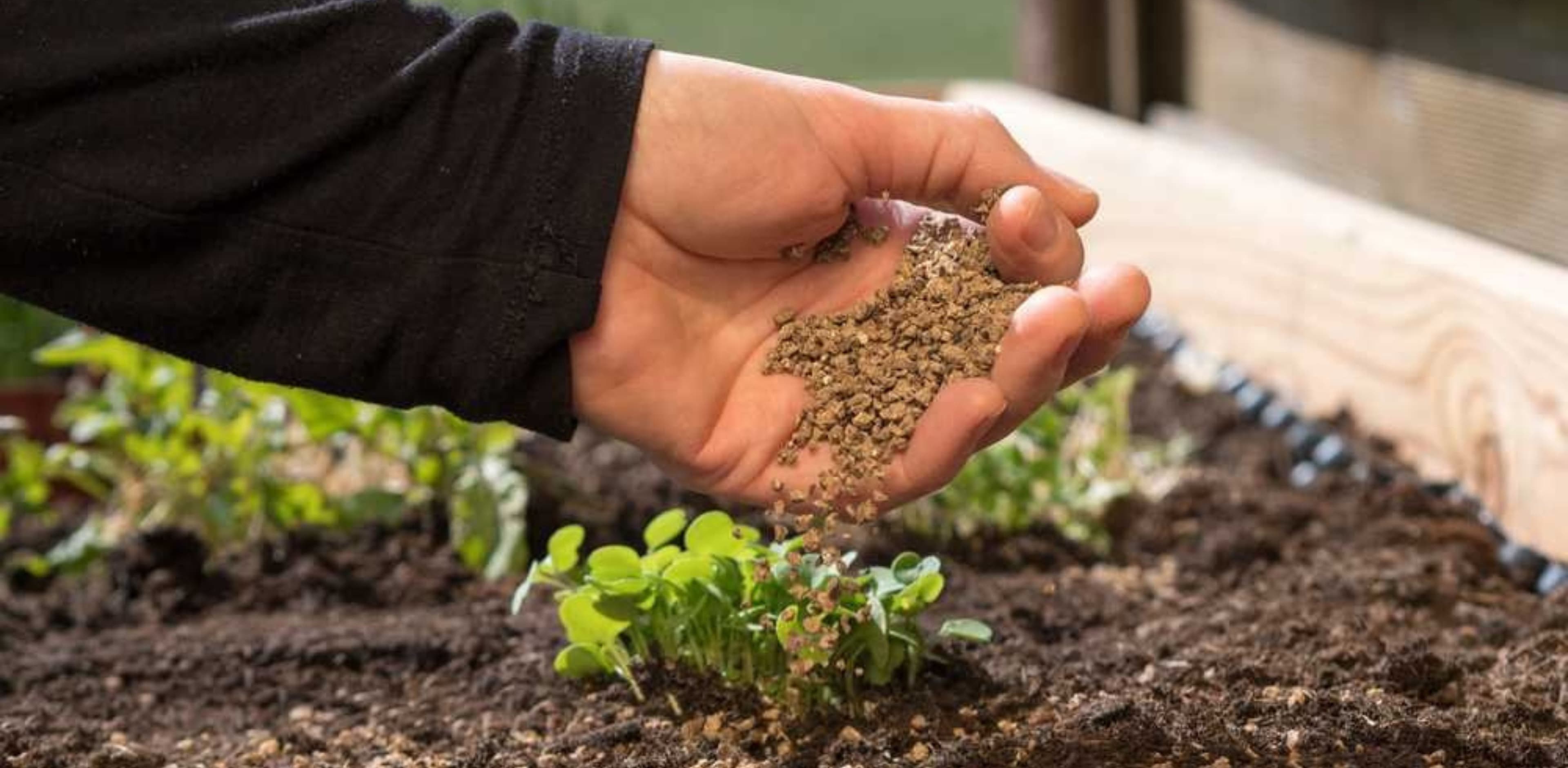 Biofertilizers: Trichoderma, Pseudomonas, Azotobacter — Which One Actually Works?
