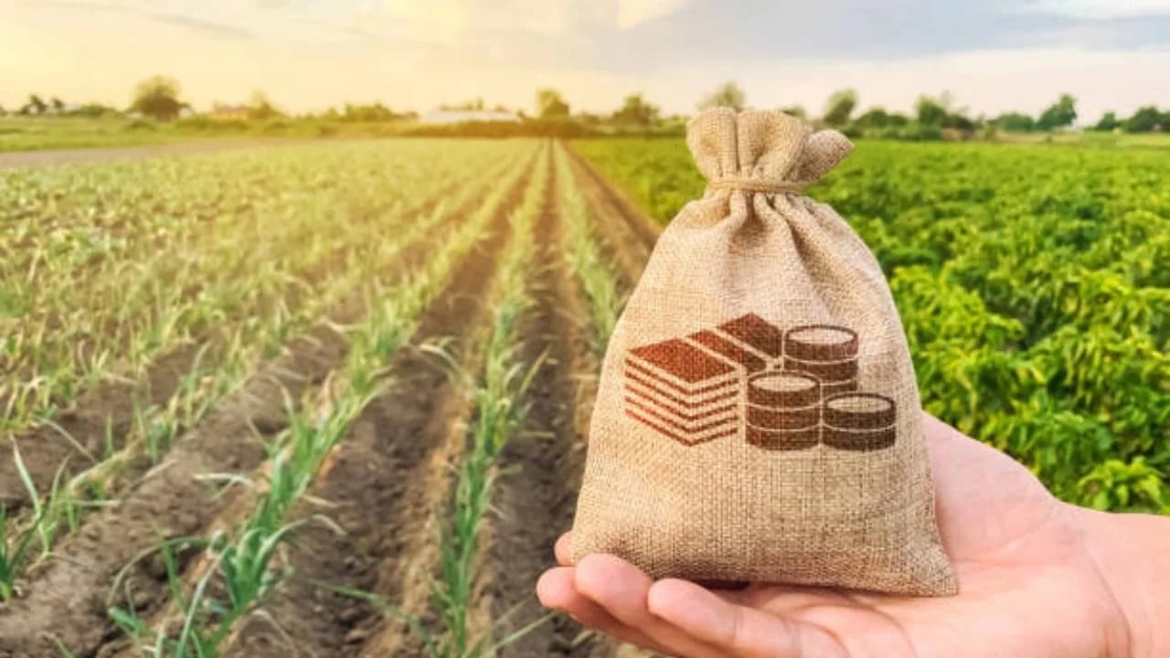 Can Organic Farming Be Profitable in Year 1? Real India Case Studies