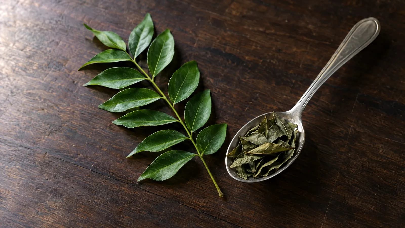 Curry leaves nutrition facts 100g: calories, vitamins and minerals