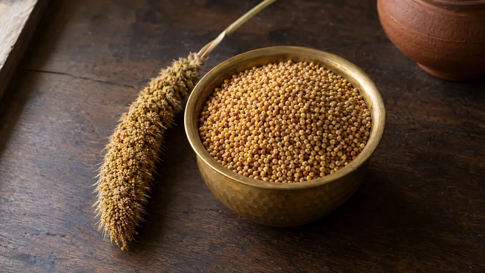 Foxtail millet in Kannada, Hindi, Tamil and other Indian names