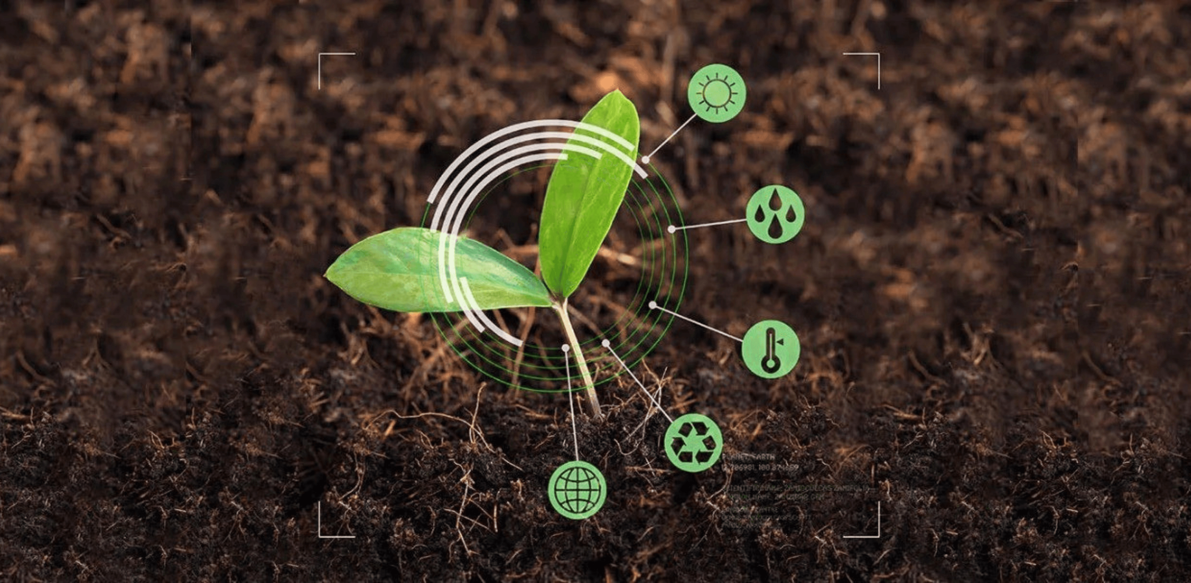 How Soil Biology Helps Plants Handle Heat Stress