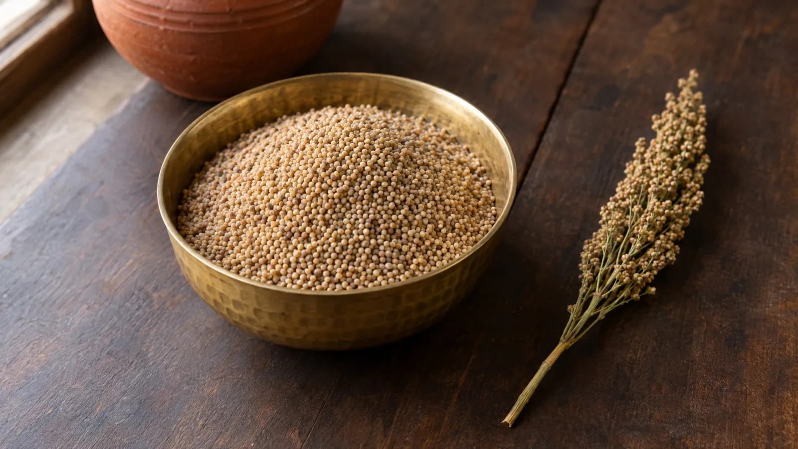 Samai millet in English, Hindi, Tamil and other Indian names