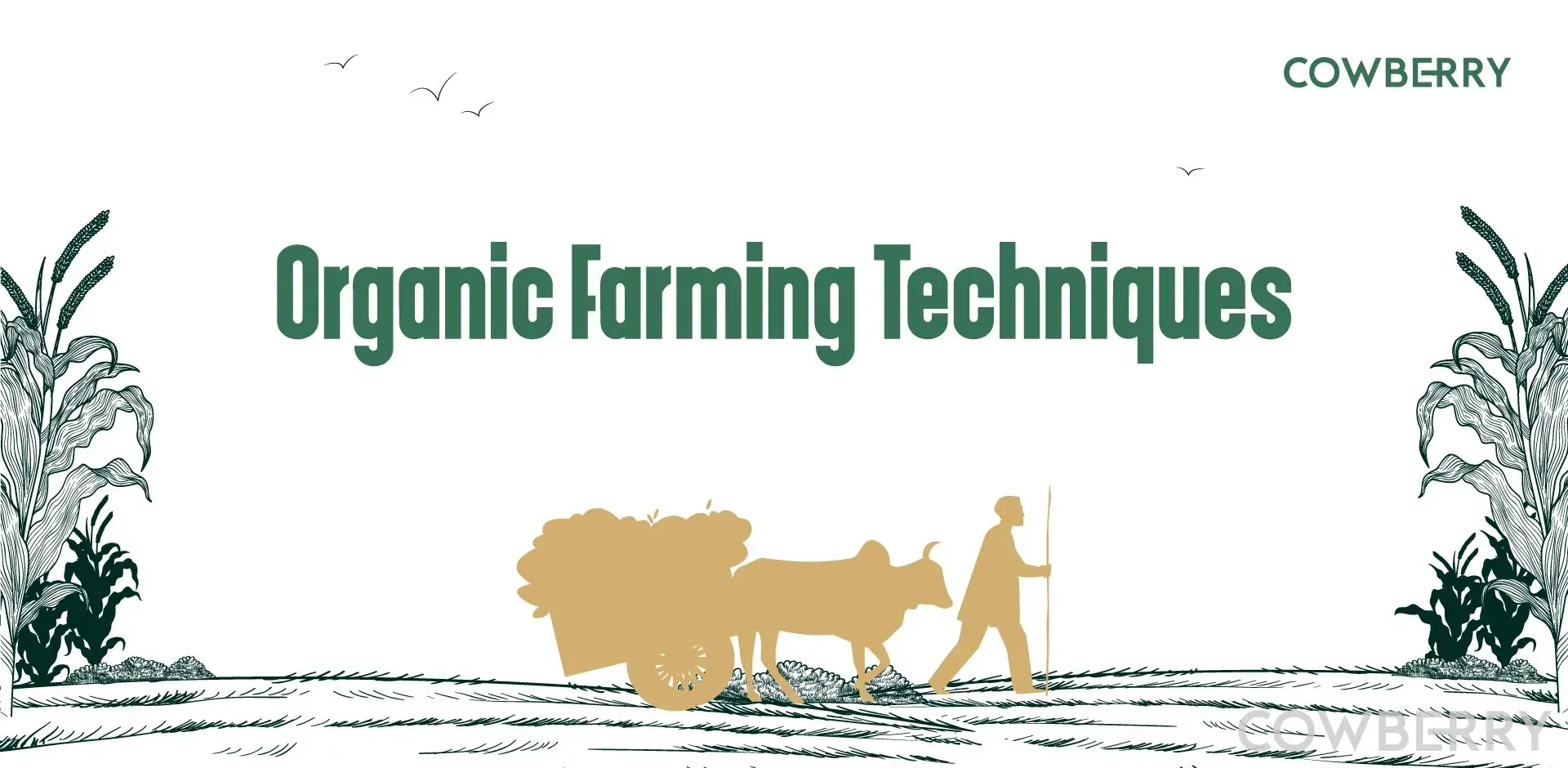 Organic Farming Techniques
