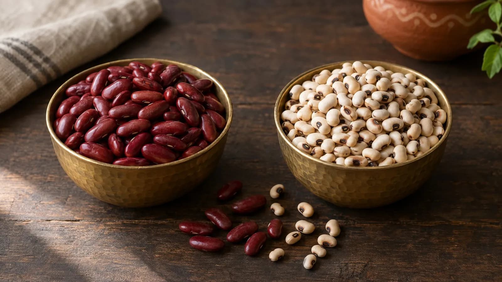 Rajma vs lobia: difference, nutrition and which to choose