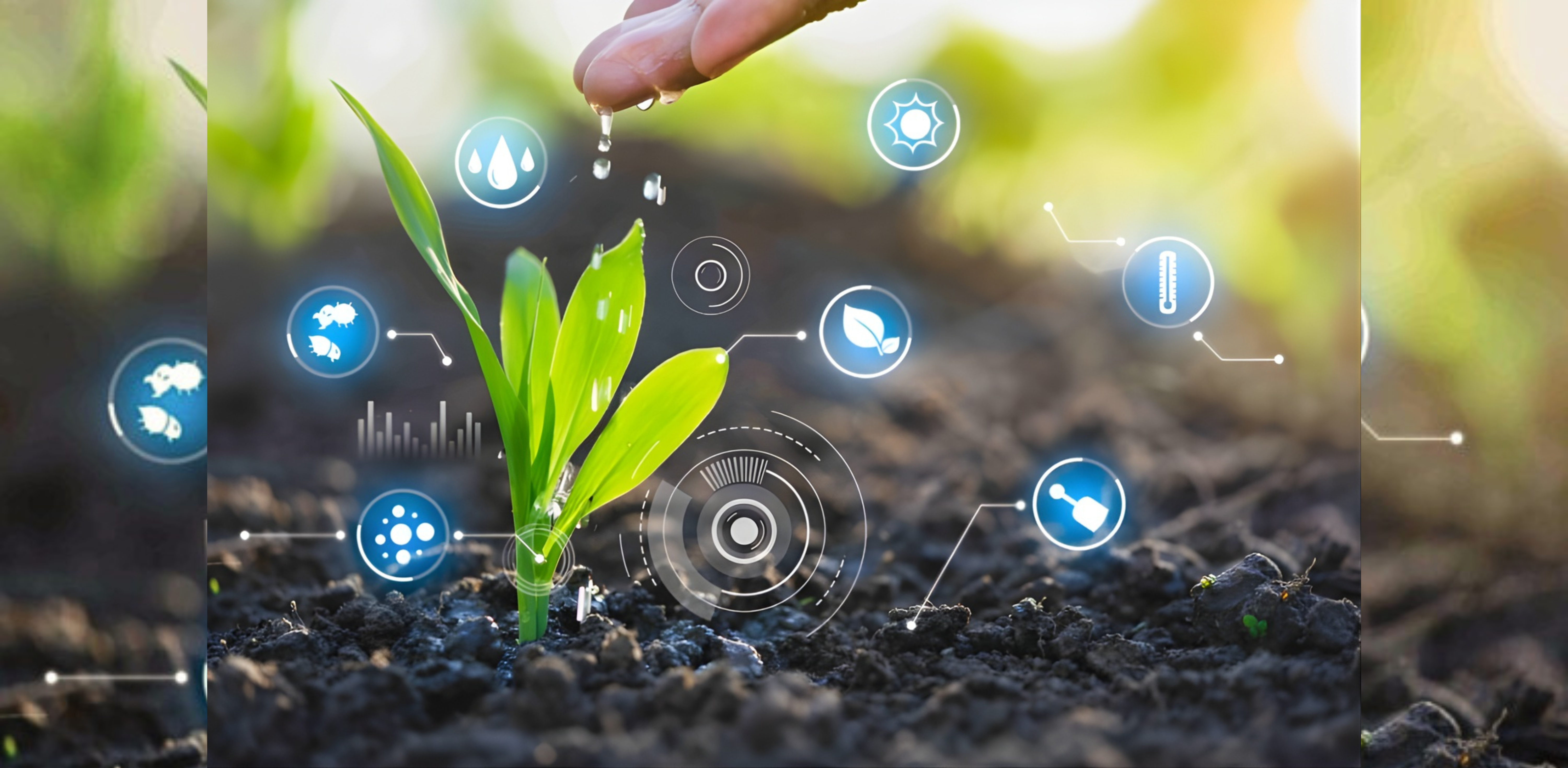 Soil Moisture Biology: How Water Affects Microbes
