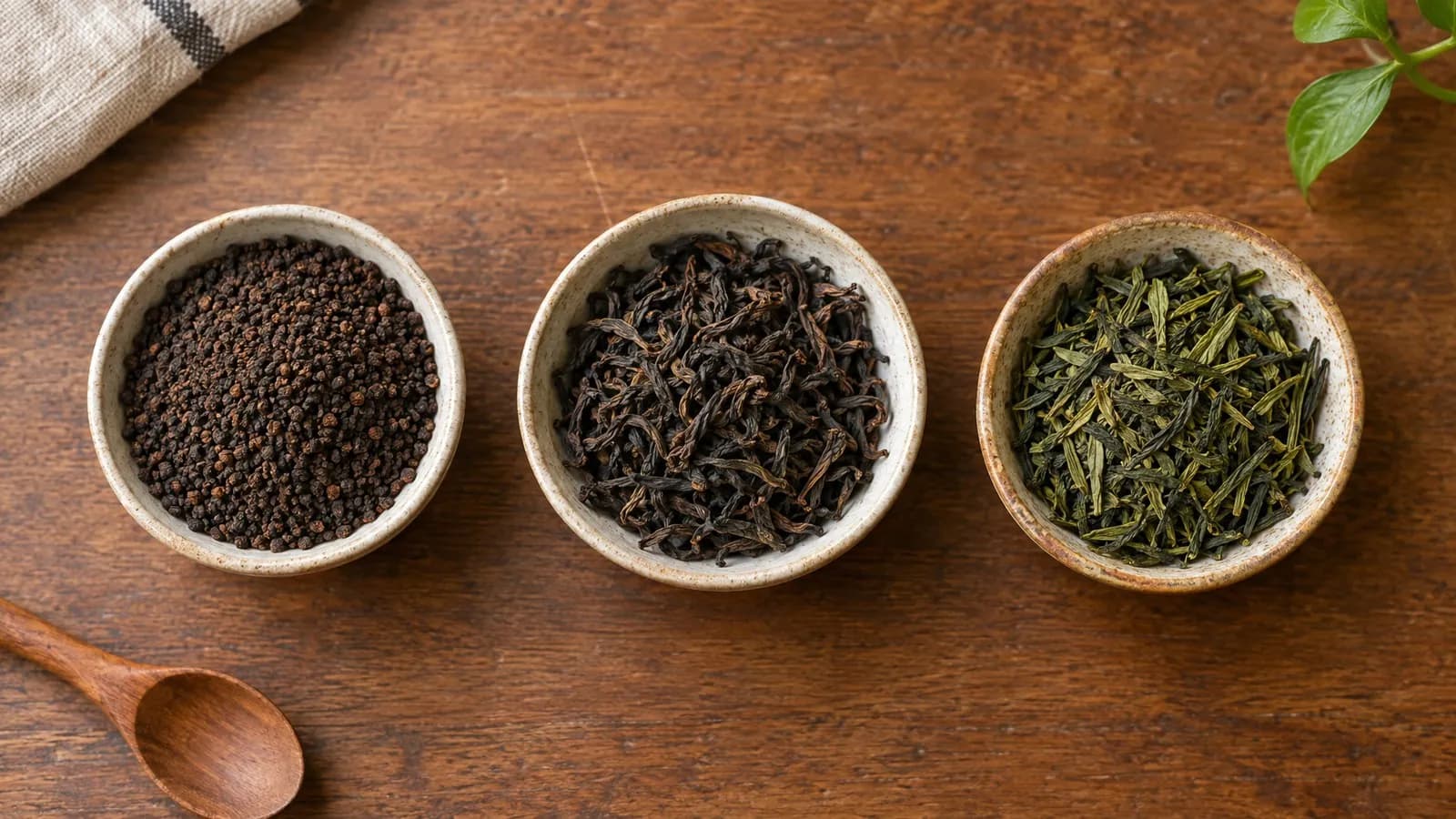 Which loose leaf tea is best? Types of tea and how to choose
