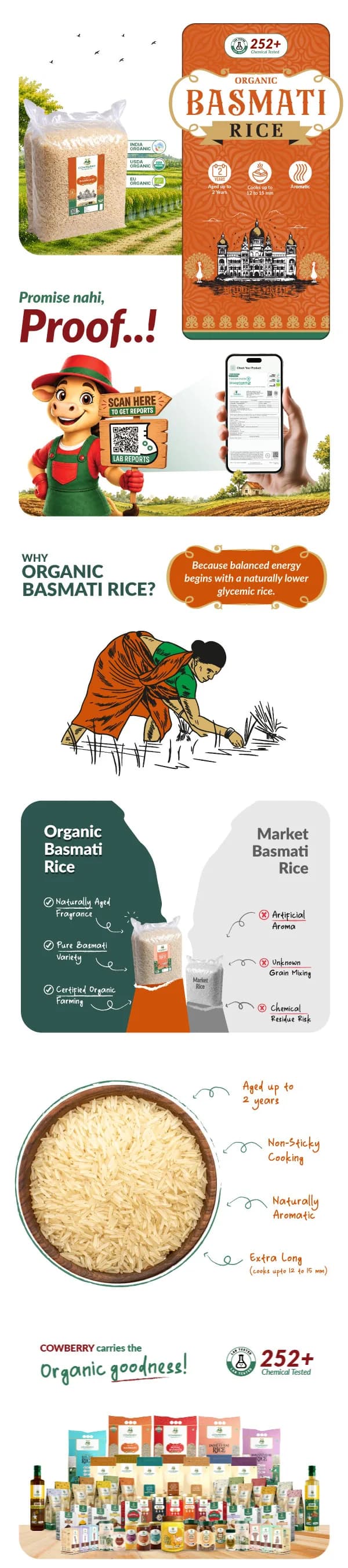 Organic Basmati Rice banner