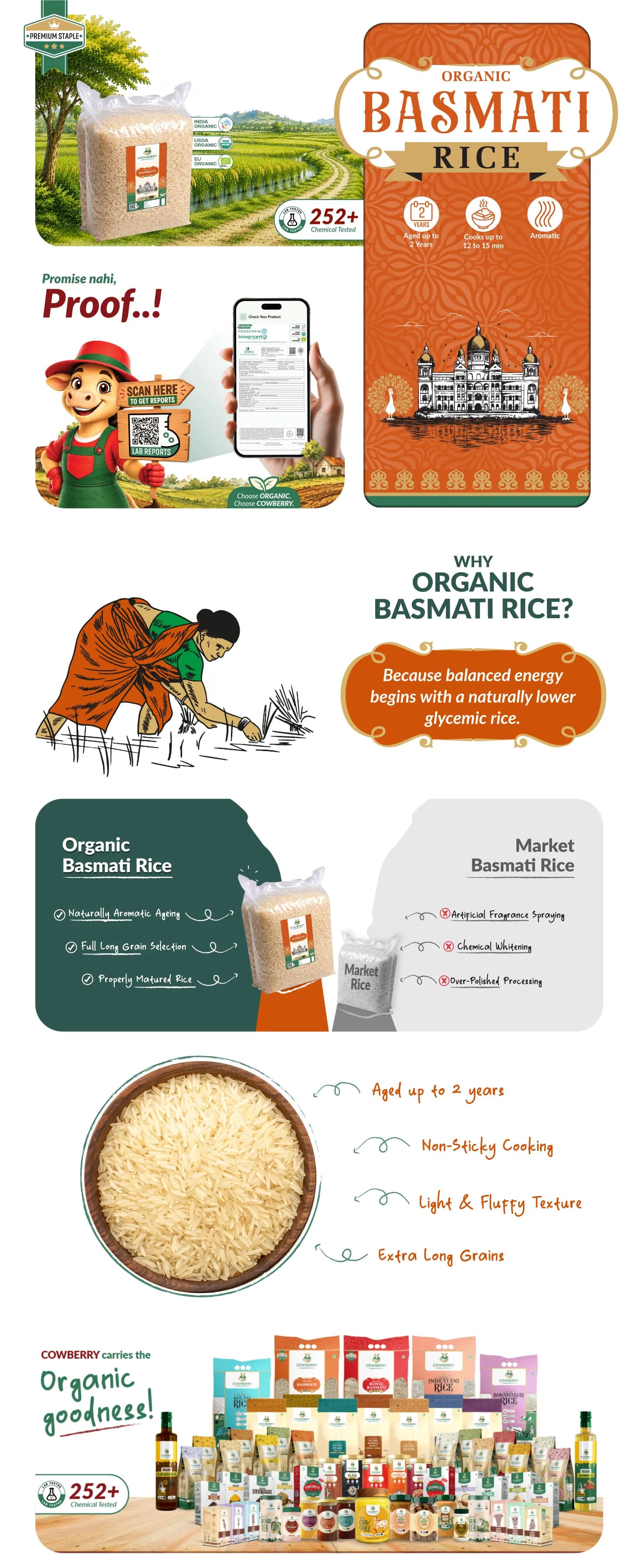 Organic Basmati Rice banner