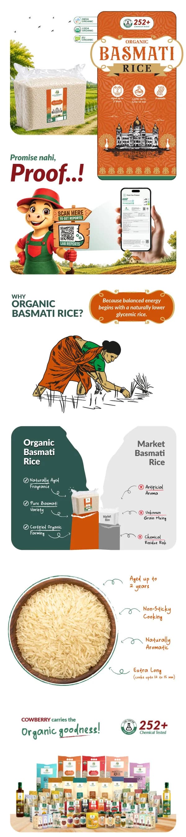 Organic Basmati Rice banner