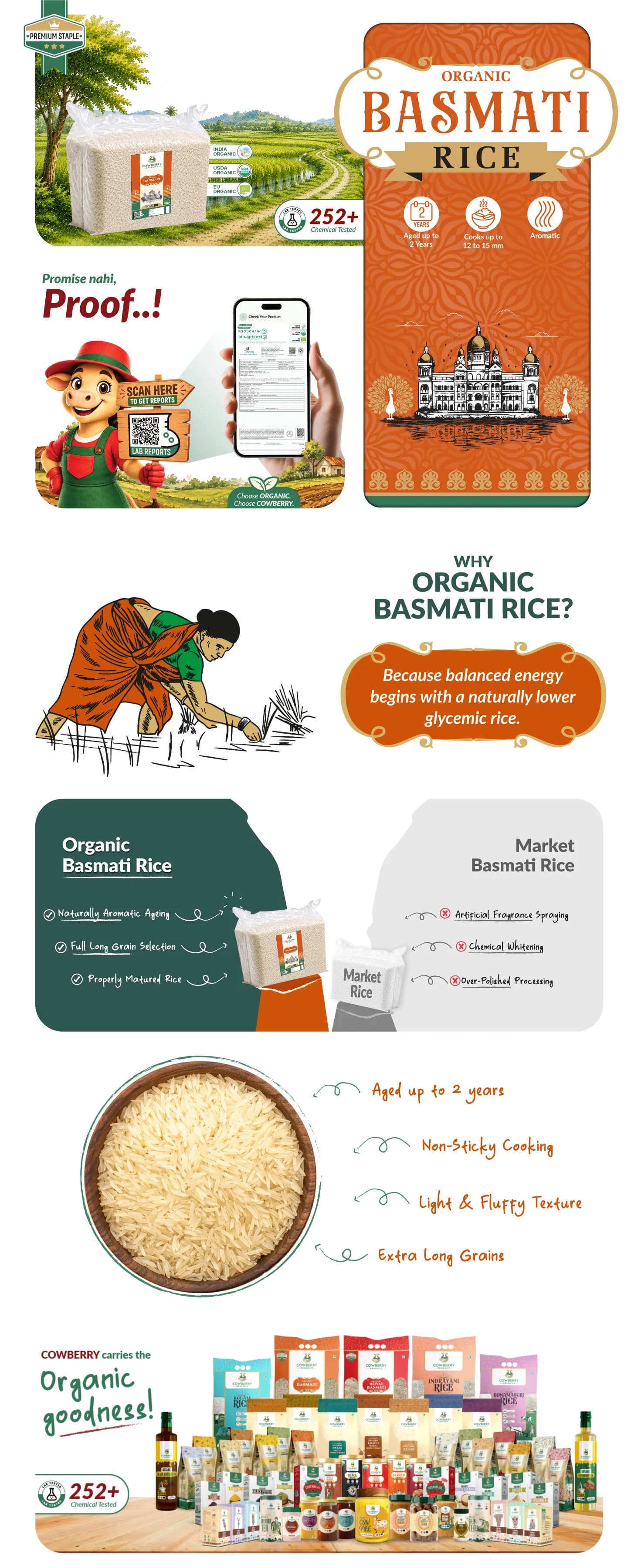 Organic Basmati Rice banner
