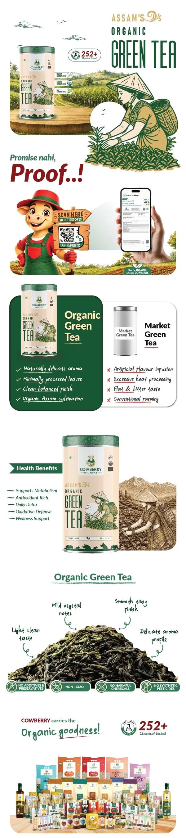 Organic Green Tea banner