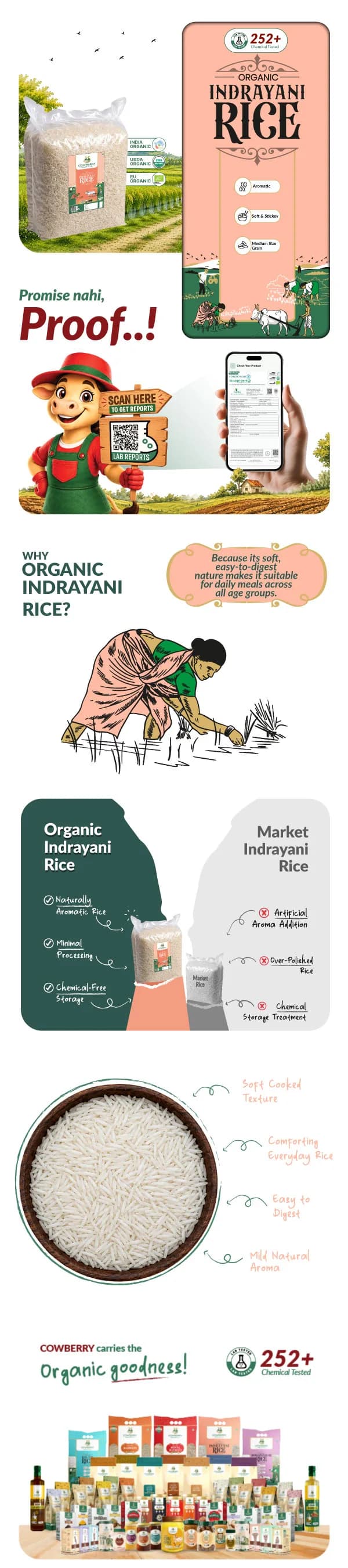 Organic Indrayani Rice banner