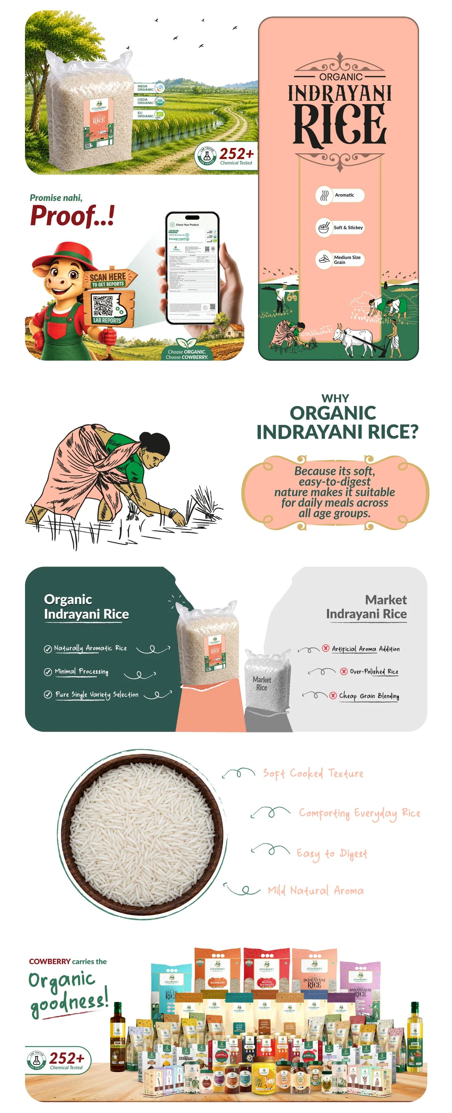 Organic Indrayani Rice banner
