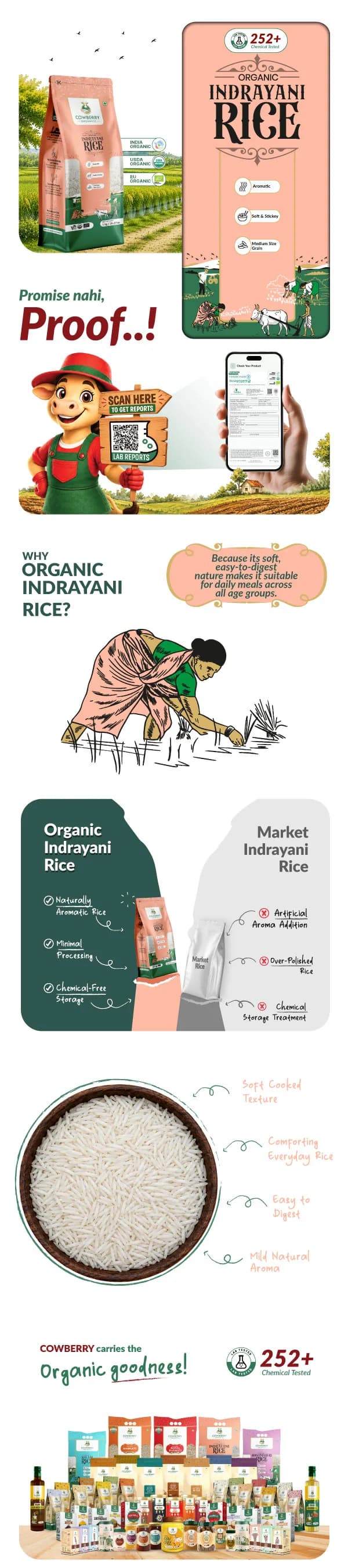 Organic Indrayani Rice banner