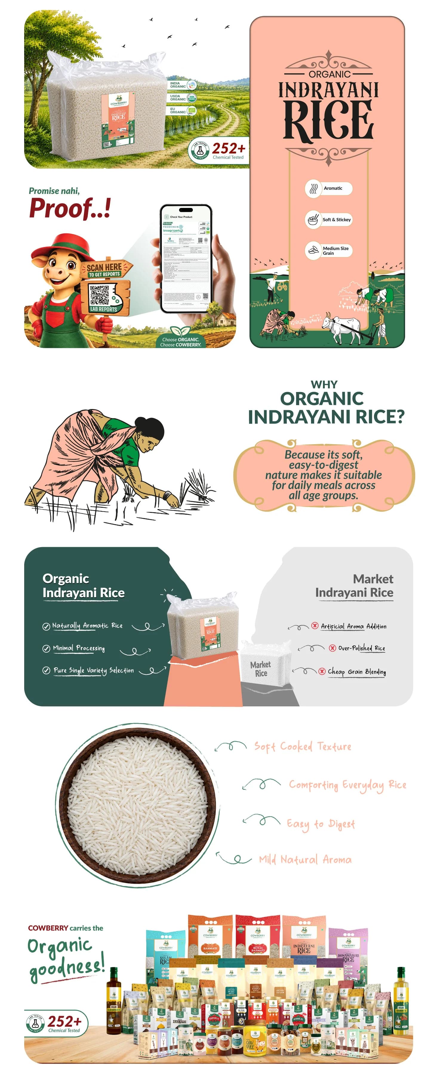 Organic Indrayani Rice banner