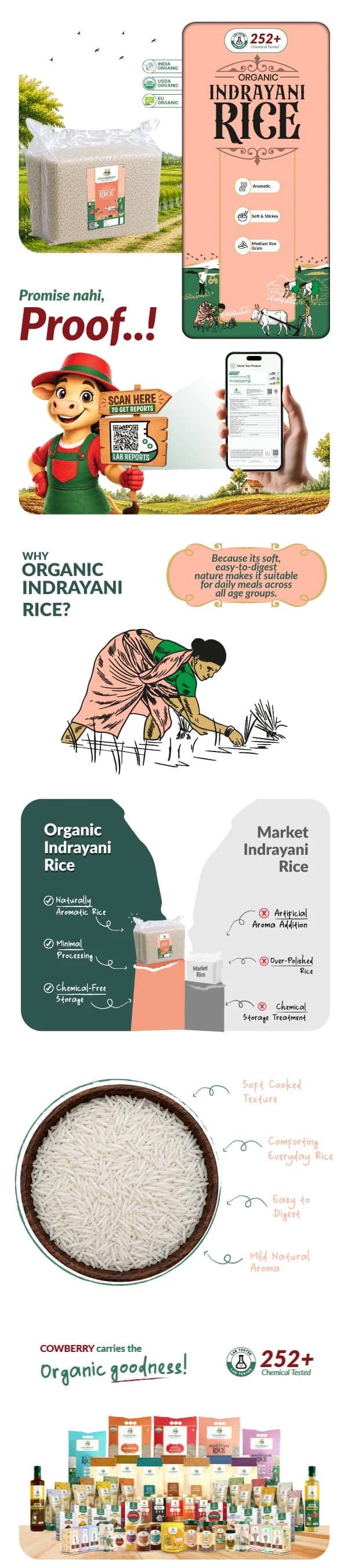 Organic Indrayani Rice banner