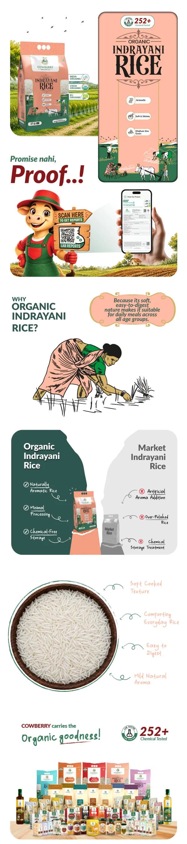 Organic Indrayani Rice banner