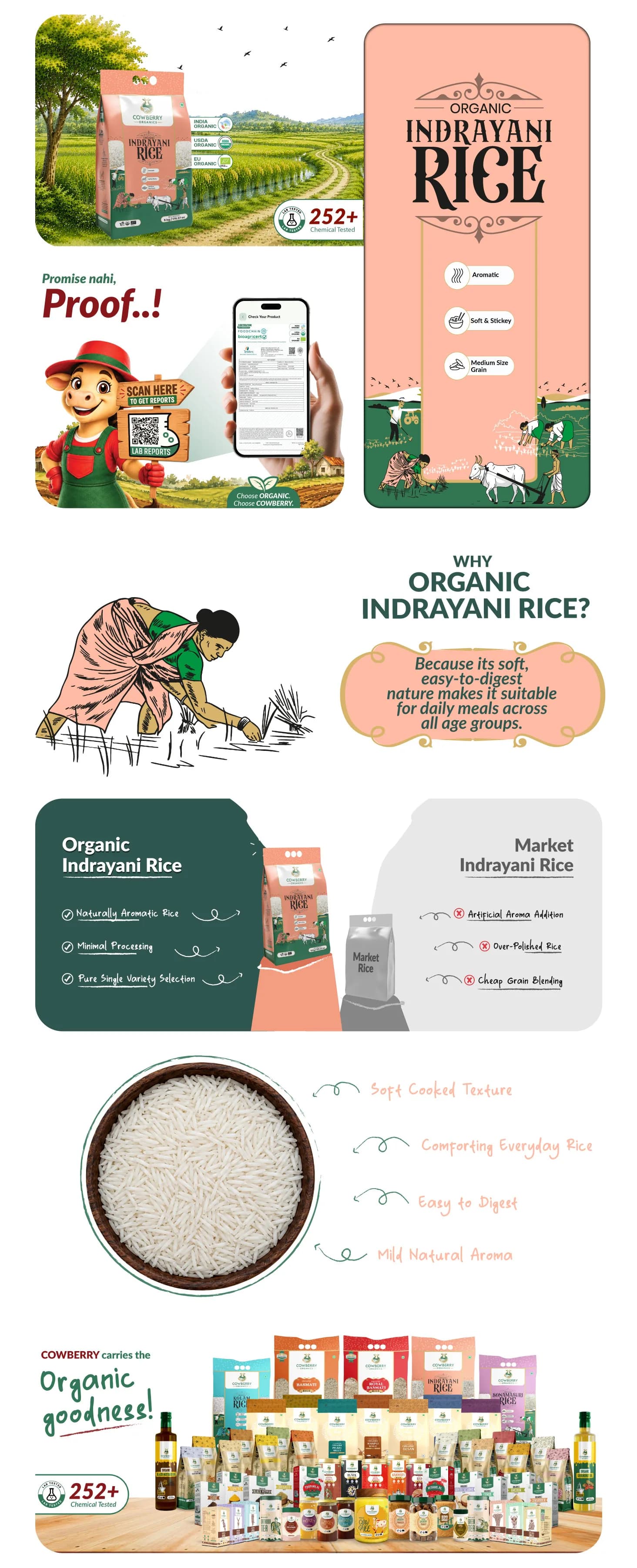 Organic Indrayani Rice banner