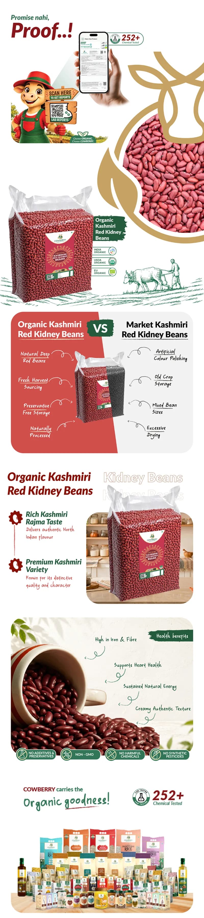 Organic Kashmiri Red Kidney Beans (Rajma) banner