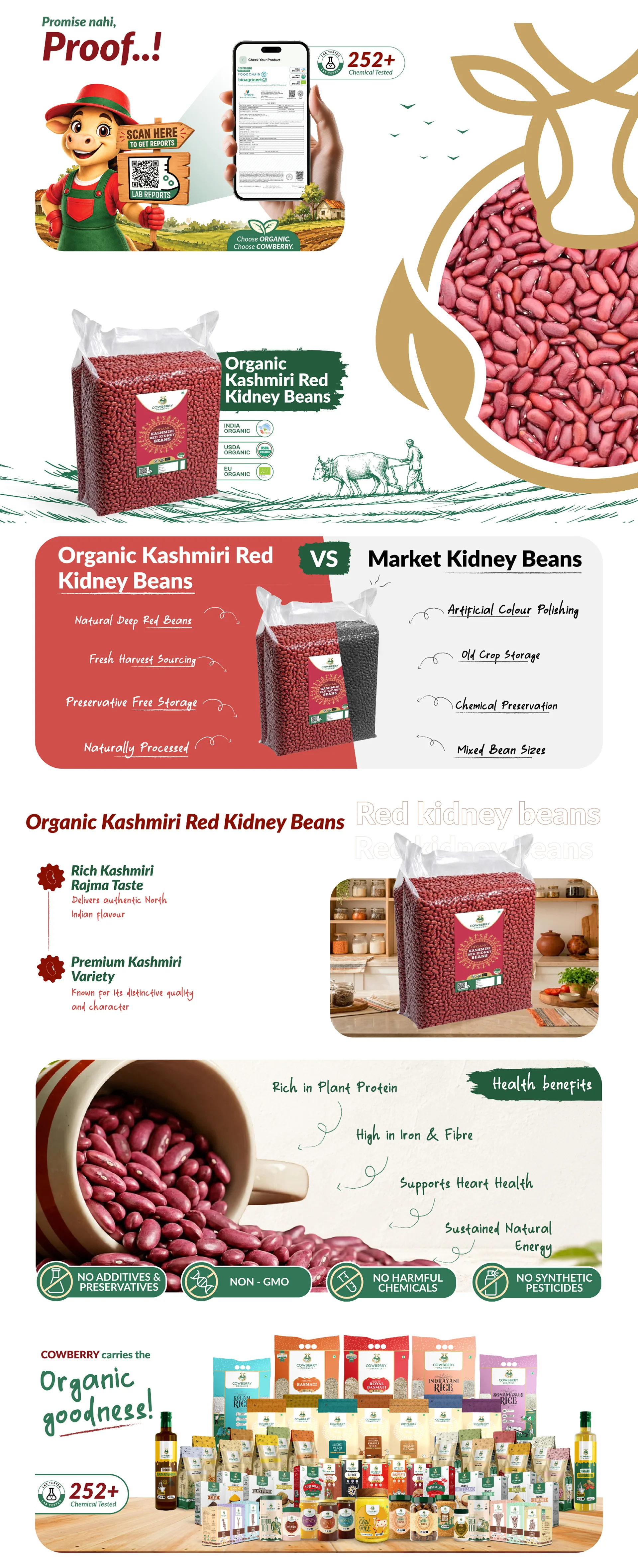 Organic Kashmiri Red Kidney Beans (Rajma) banner