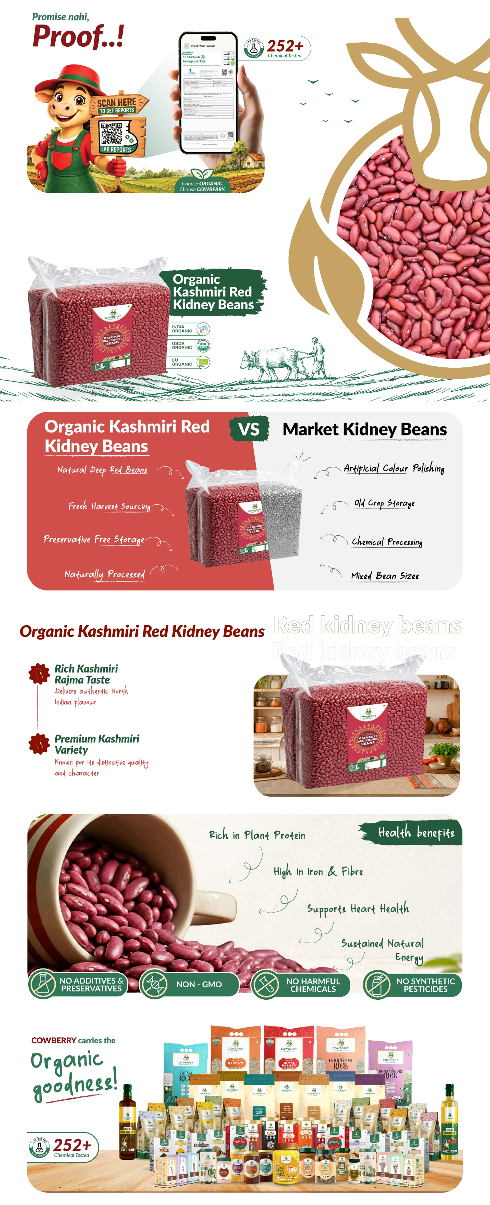 Organic Kashmiri Red Kidney Beans (Rajma) banner