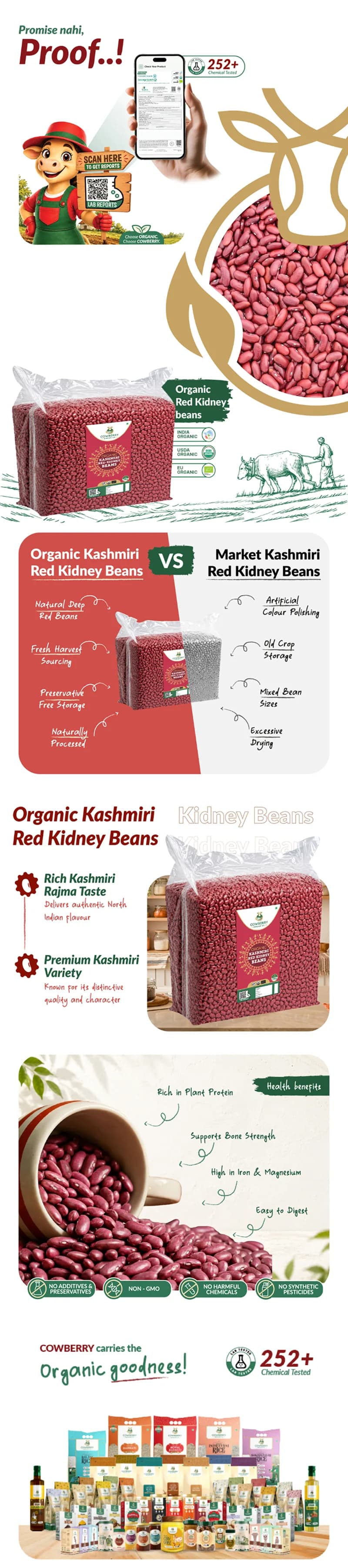 Organic Kashmiri Red Kidney Beans (Rajma) banner
