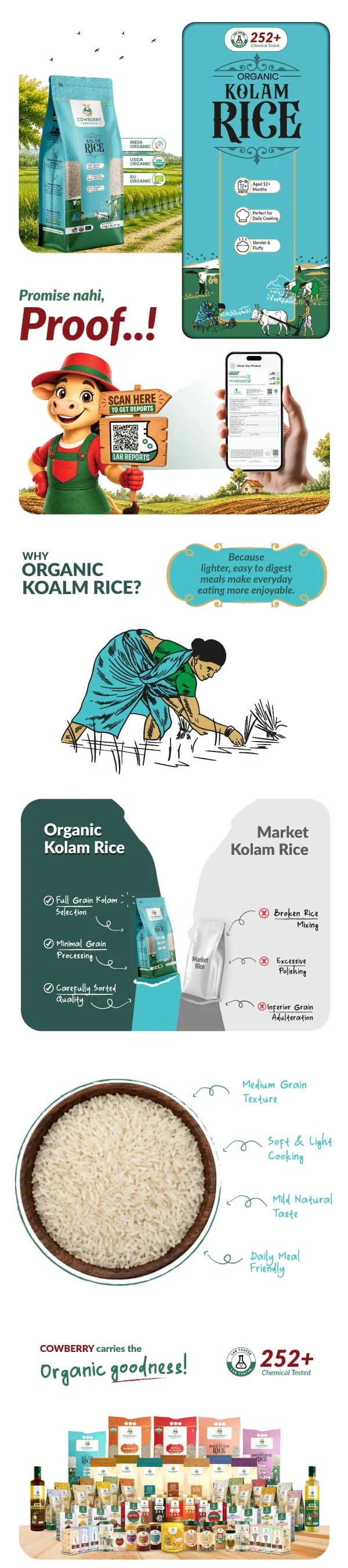 Organic Kolam Rice banner