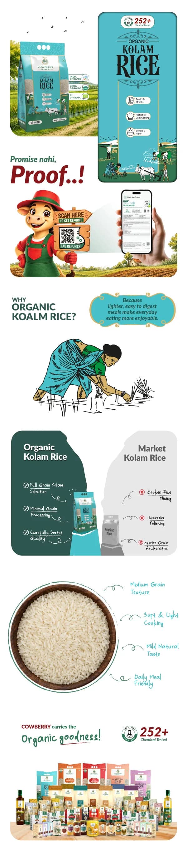 Organic Kolam Rice banner