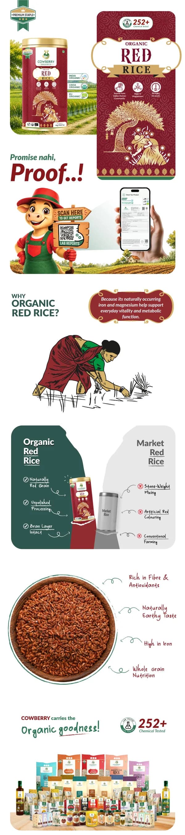 Organic Red Rice banner