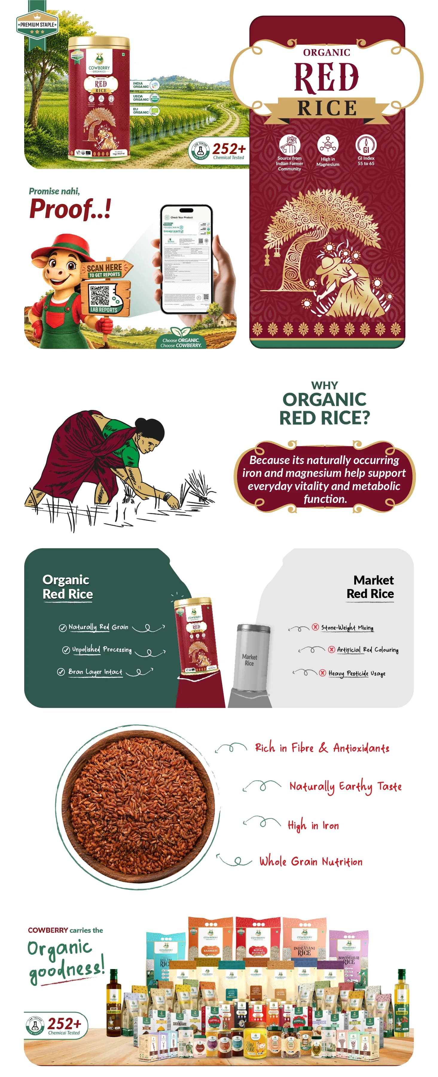 Organic Red Rice banner