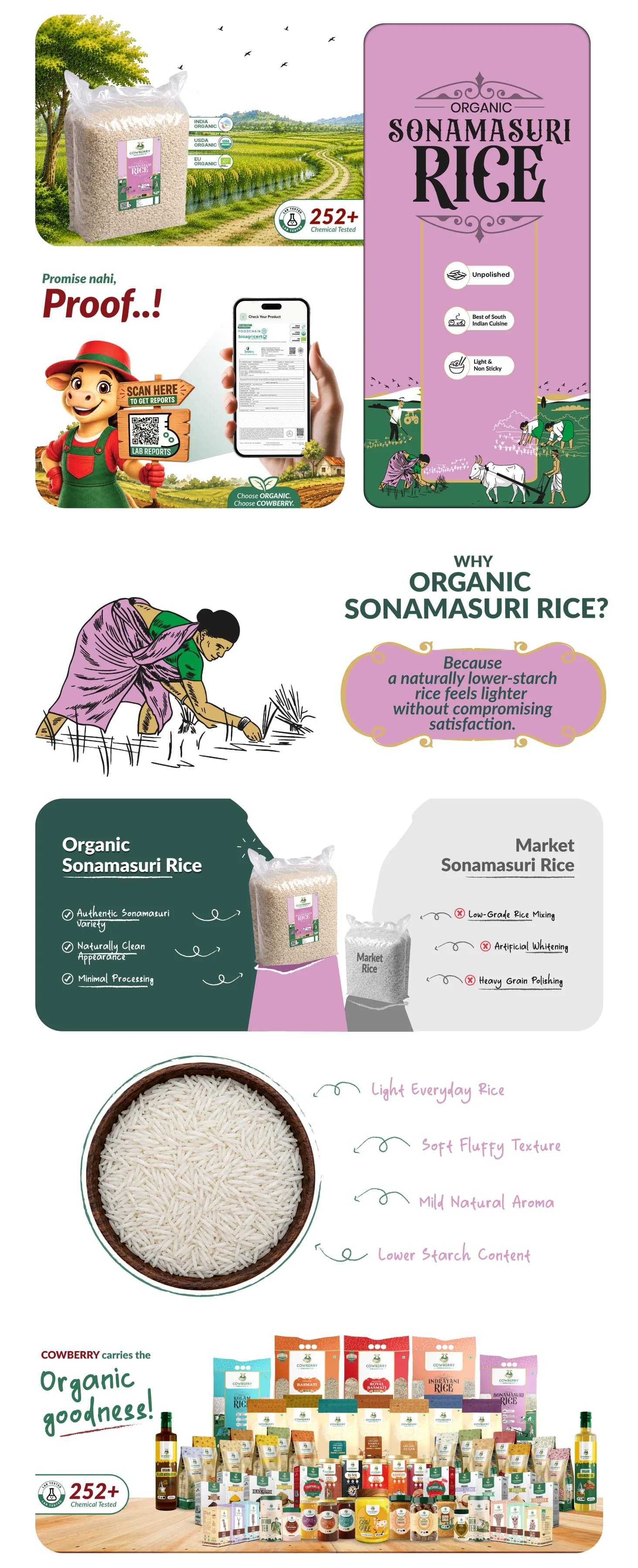 Organic Sonamasuri Rice banner