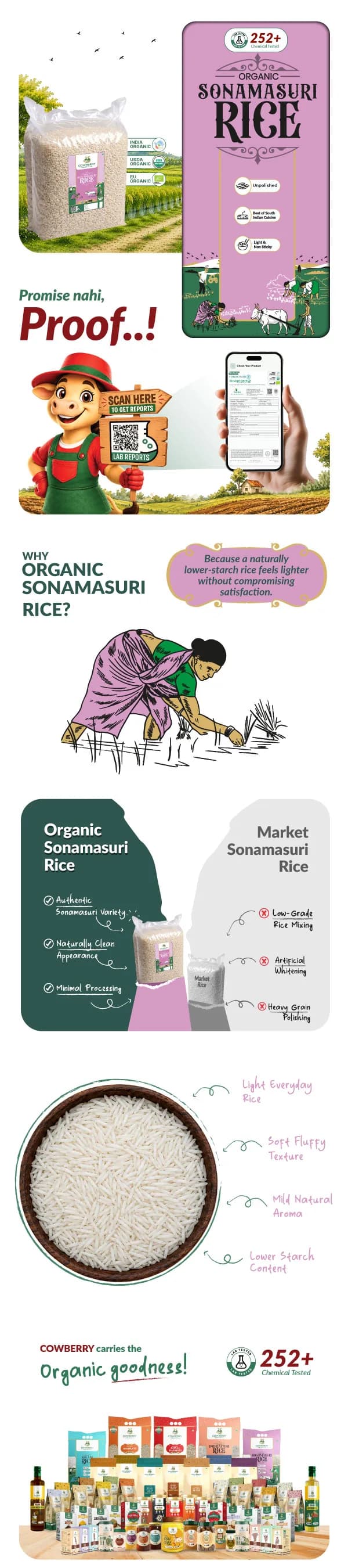 Organic Sonamasuri Rice banner