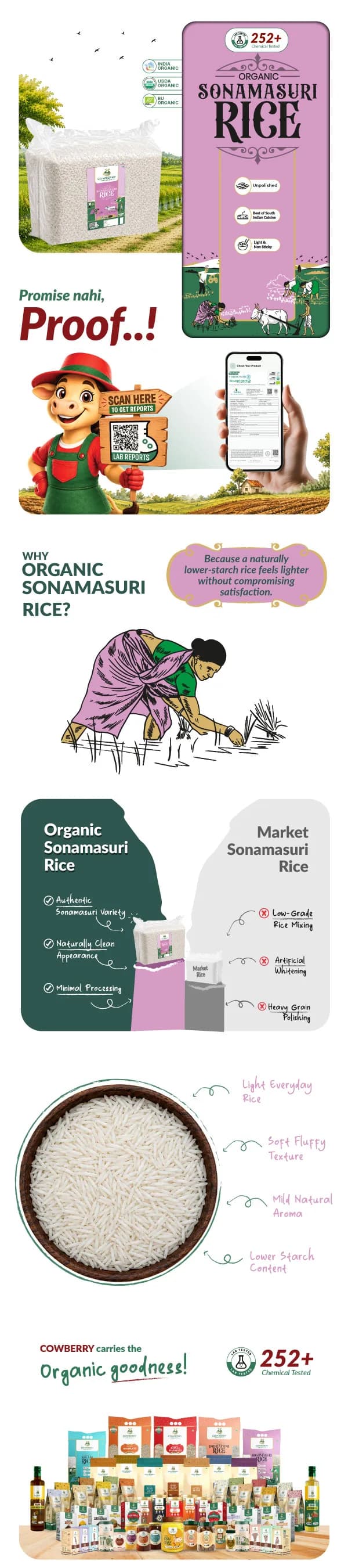 Organic Sonamasuri Rice banner