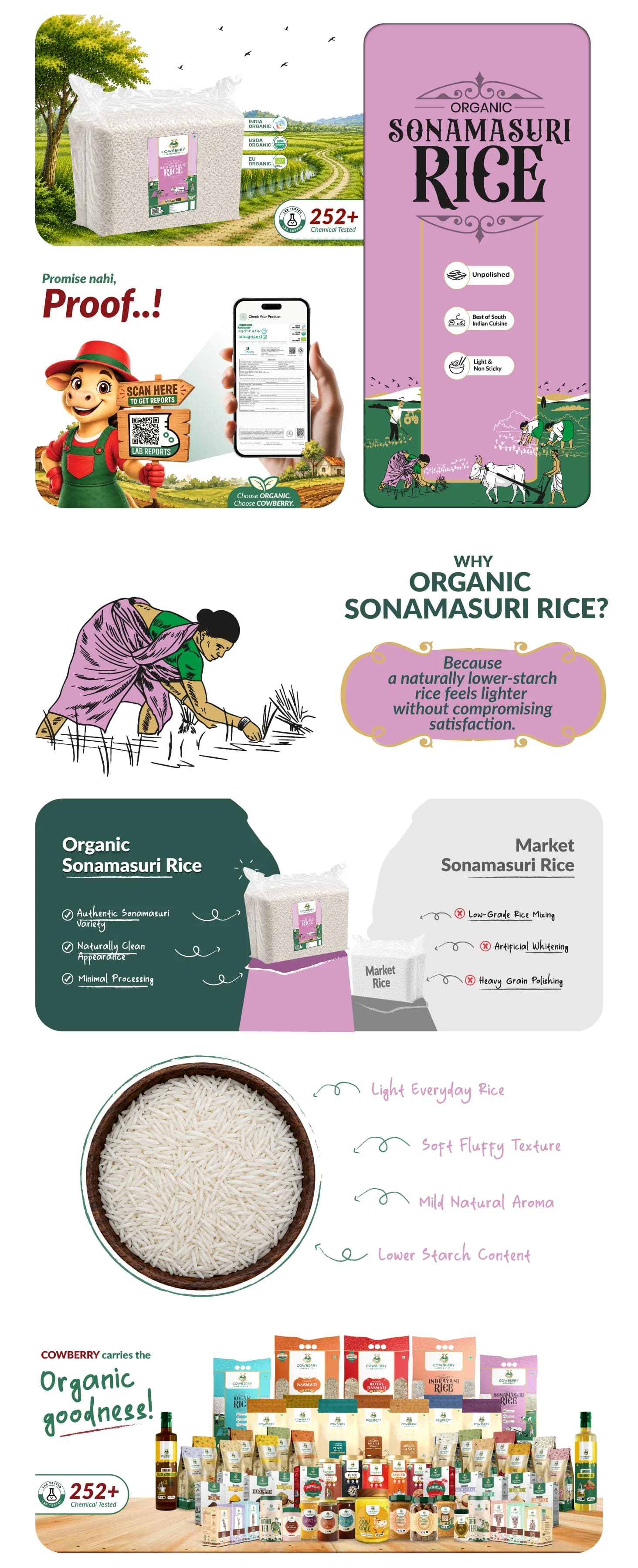 Organic Sonamasuri Rice banner