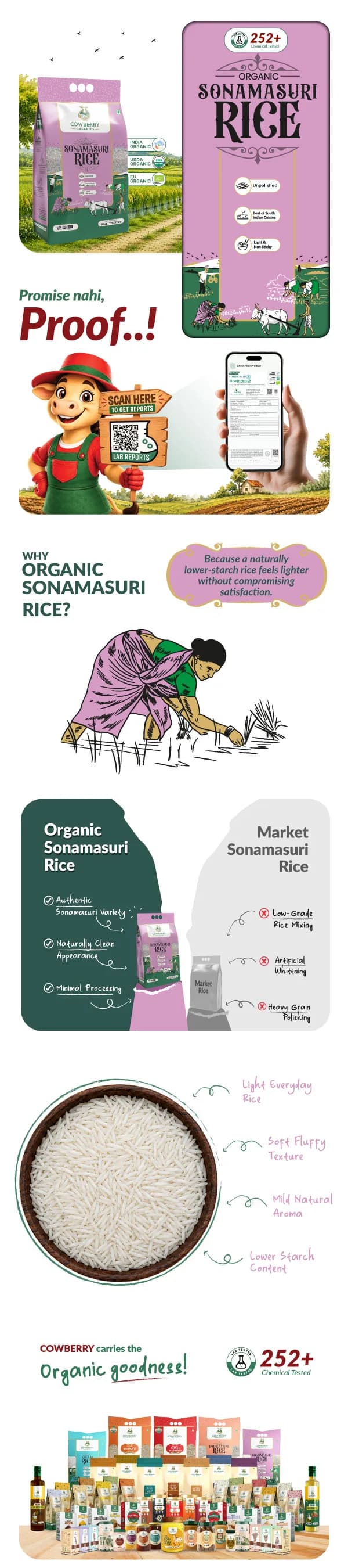 Organic Sonamasuri Rice banner