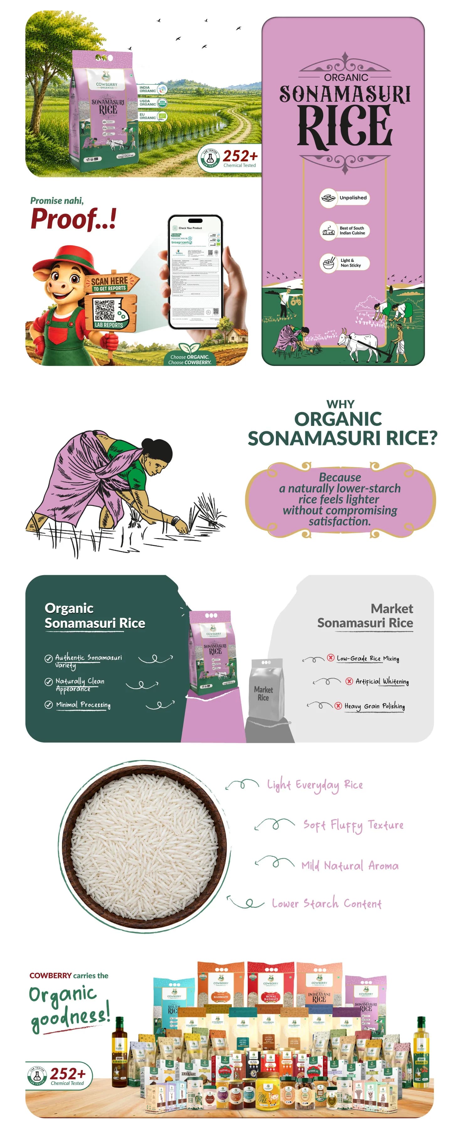 Organic Sonamasuri Rice banner