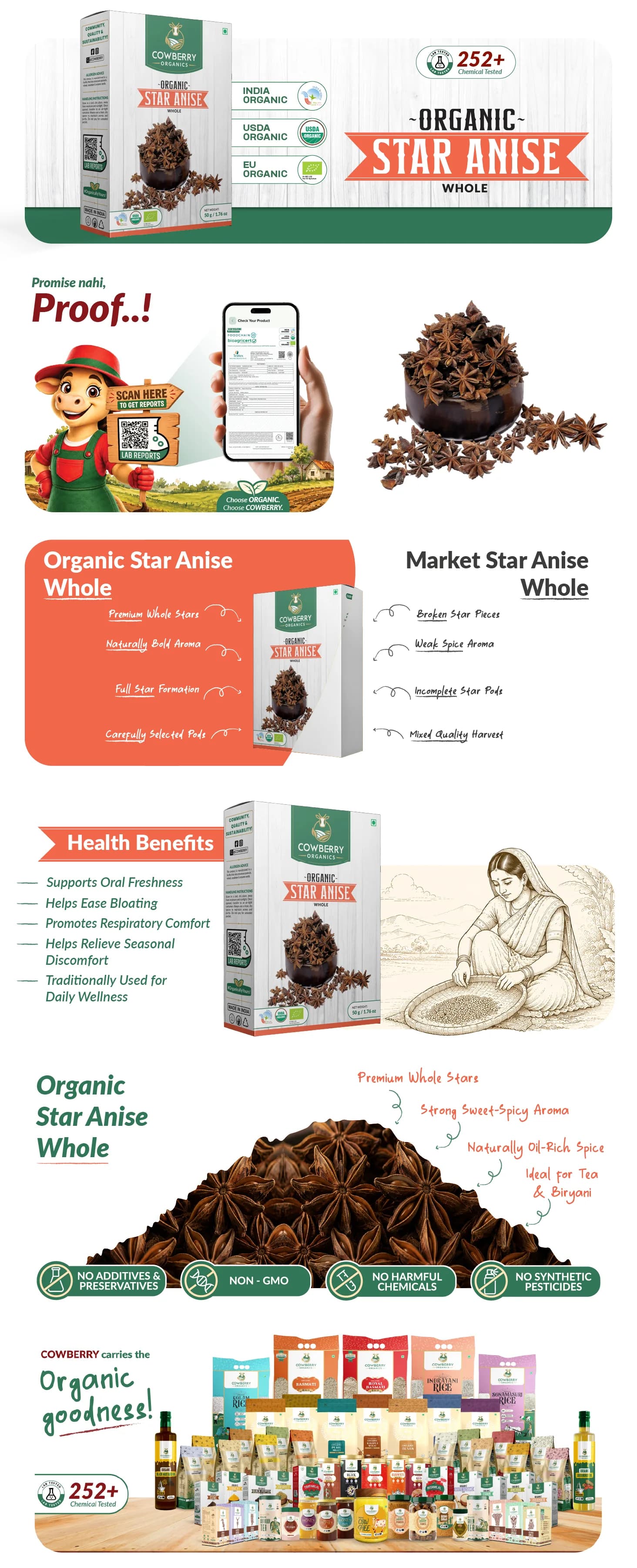 Organic Star Anise banner