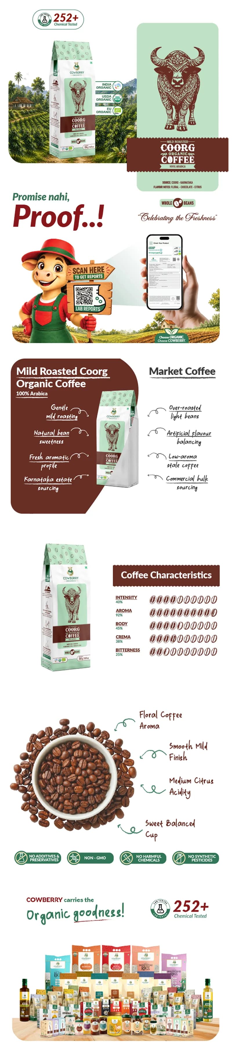 Organic Coffee Beans | 100% Arabica | Mild Roast banner
