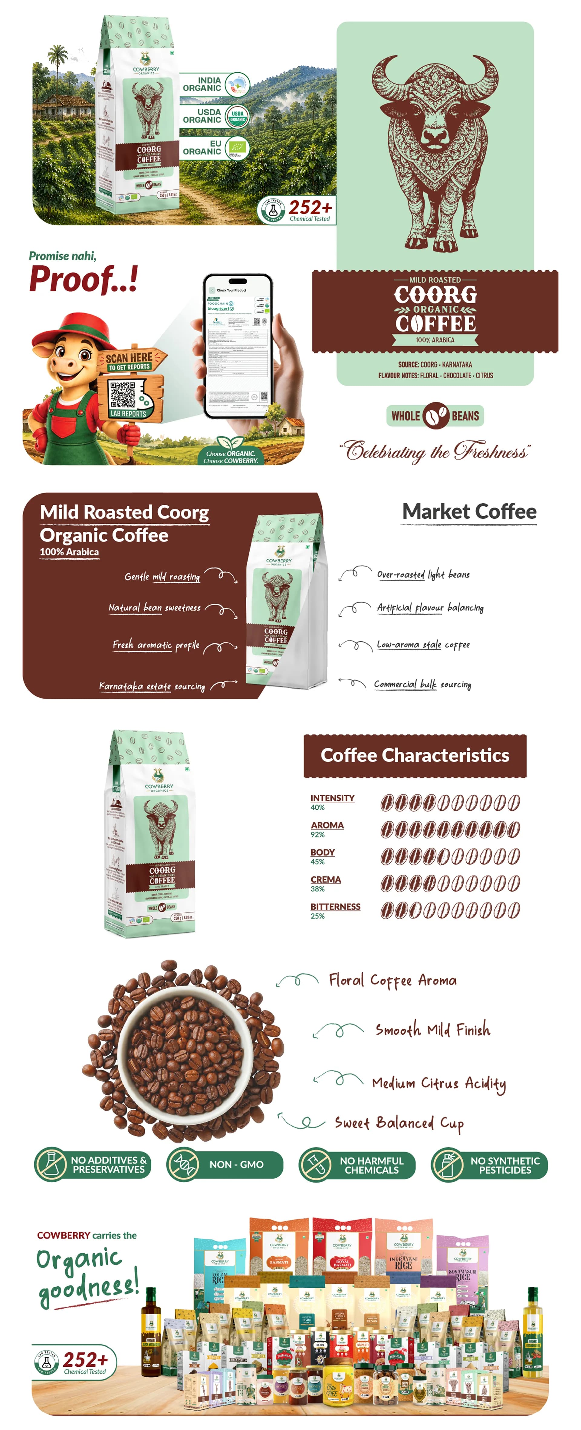 Organic Coffee Beans | 100% Arabica | Mild Roast banner