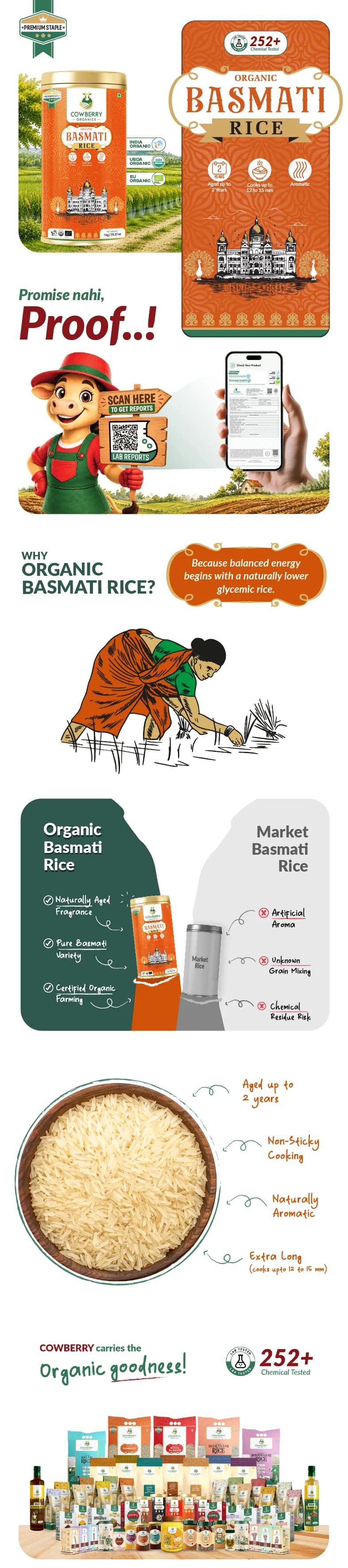 Organic Basmati Rice banner