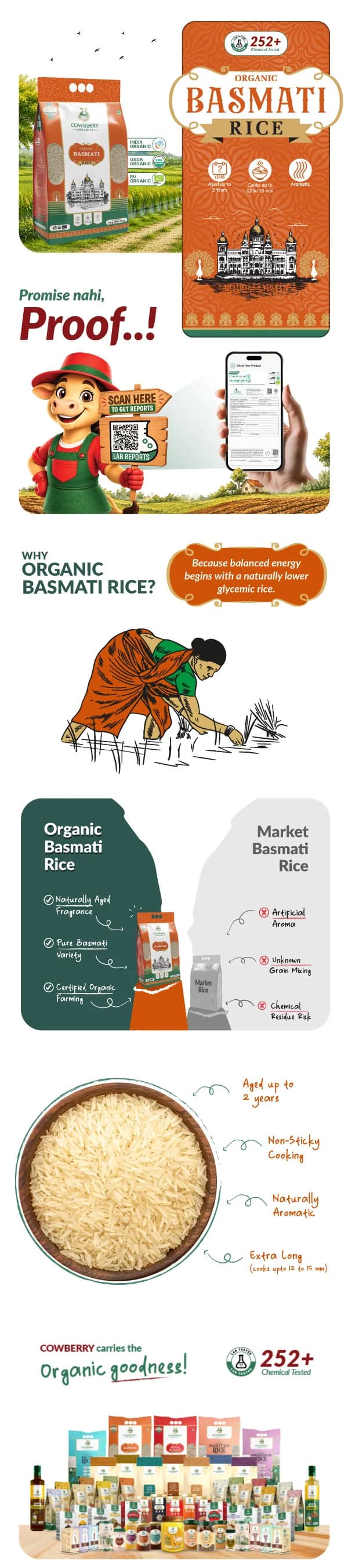 Organic Basmati Rice banner