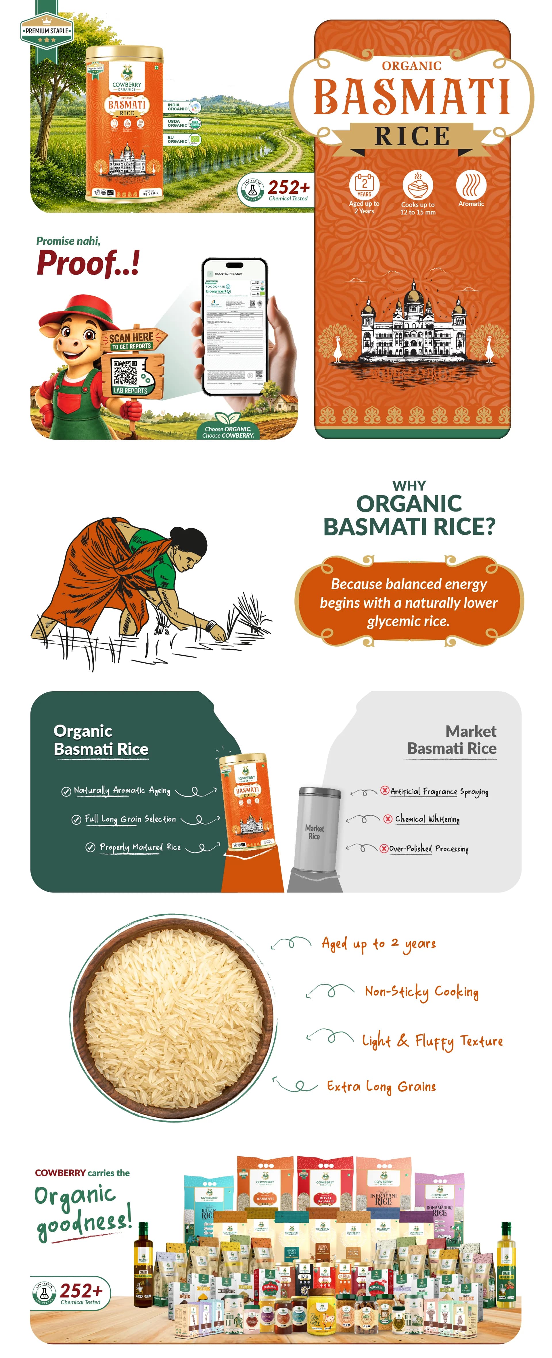 Organic Basmati Rice banner