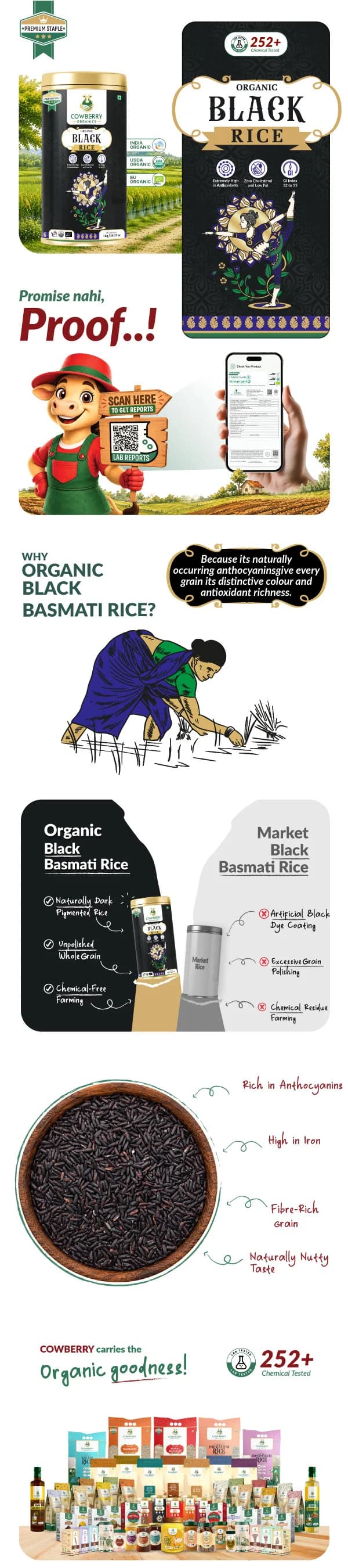Organic Black Rice banner