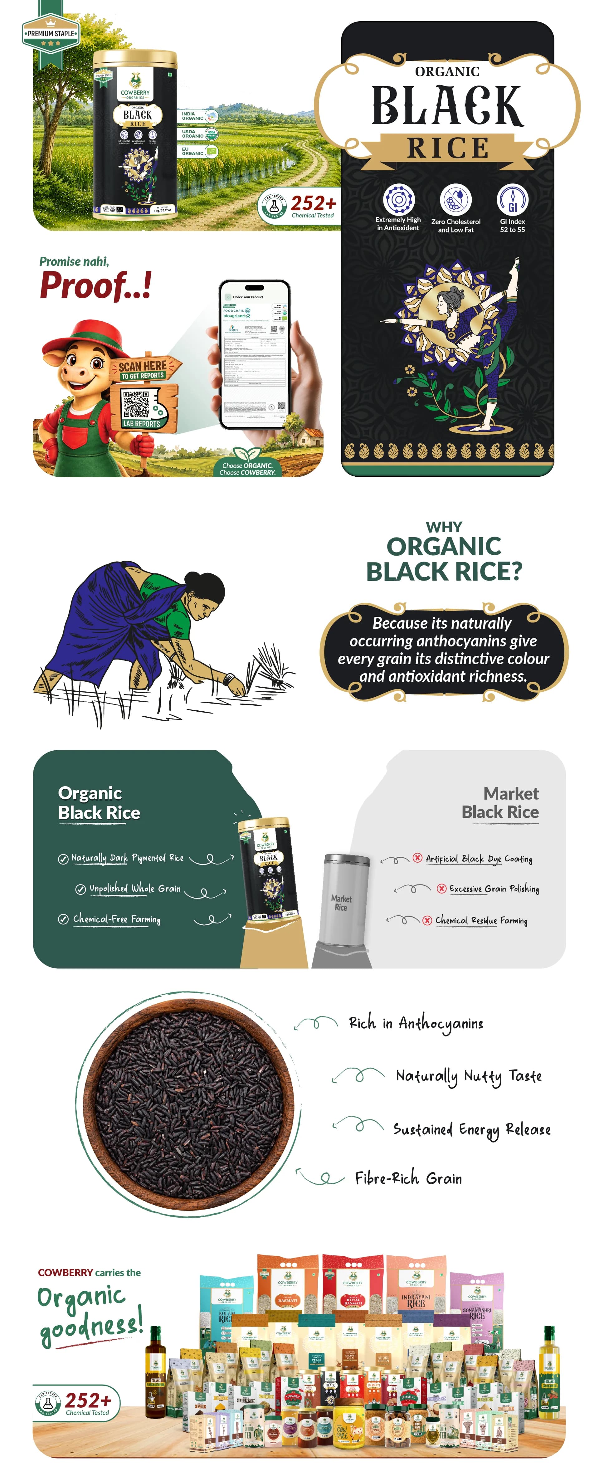 Organic Black Rice banner