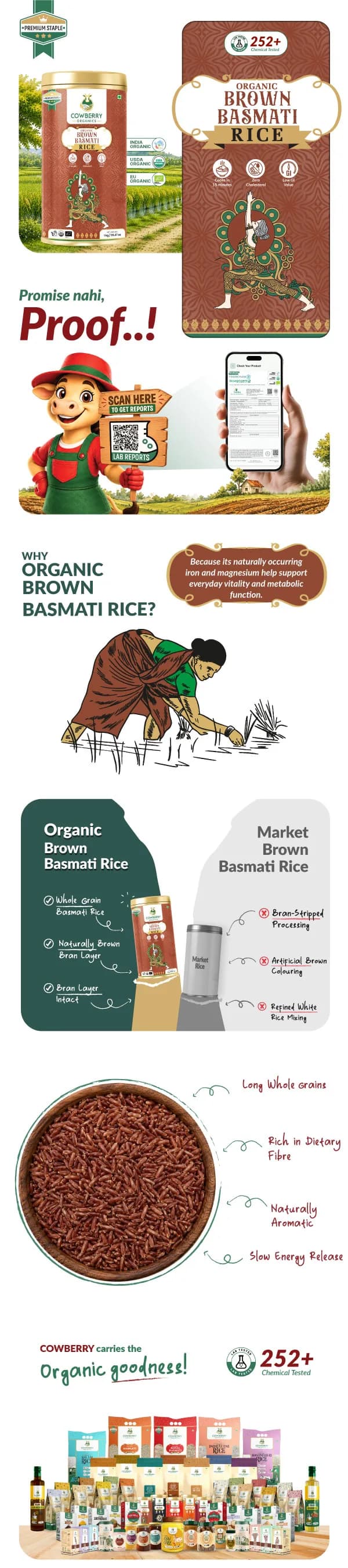 Organic Brown Basmati Rice banner