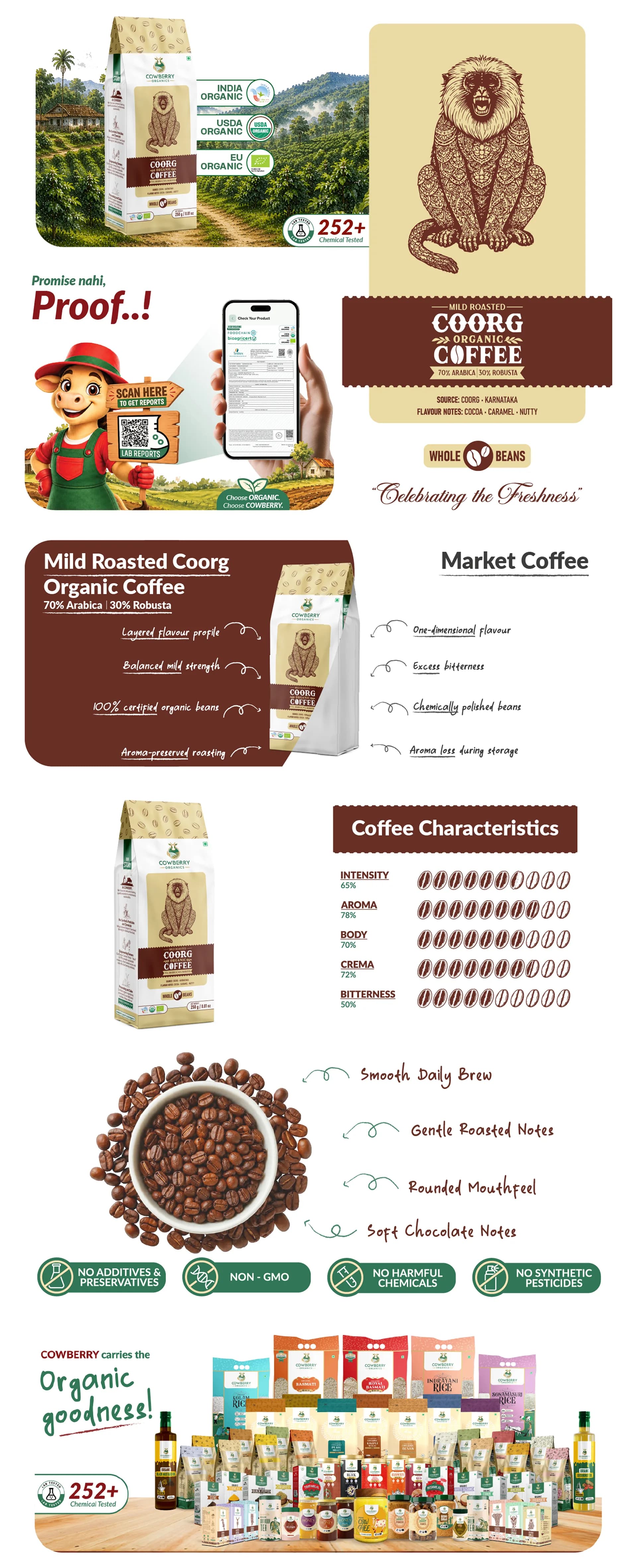 Organic Coffee Beans | 70% Arabica, 30% Robusta | Mild Roast banner